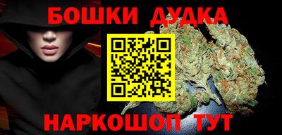 стаф Можга