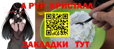 стаф Можга