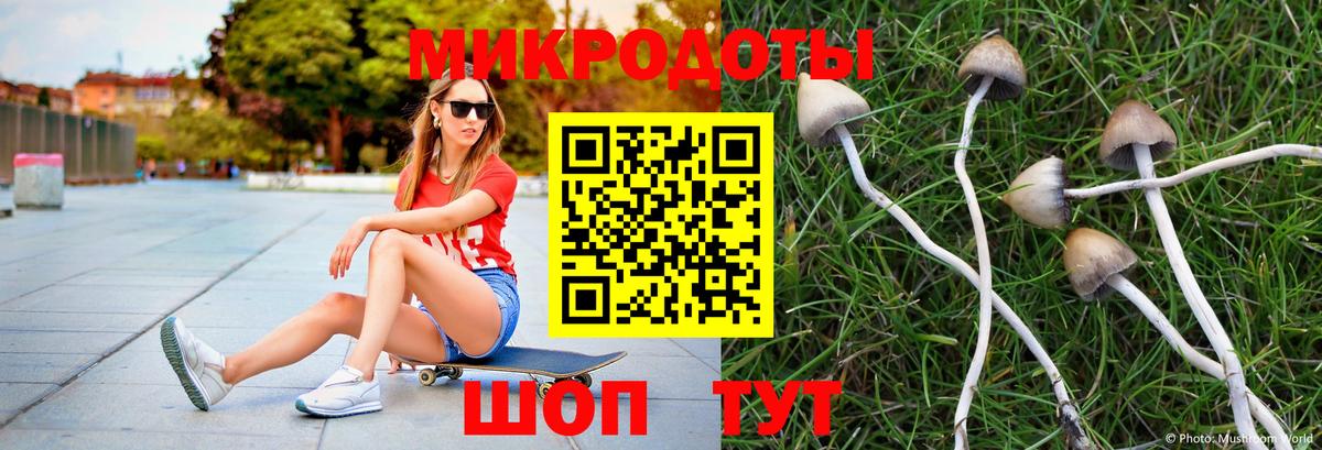 Тимашёвск  Галлюциногенные грибы MAGIC MUSHROOMS  Псилоцибиновые грибы MAGIC MUSHROOMS  Вход с VPN 